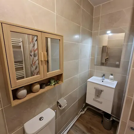 4p 85m² Hyper Centre Chessy (Seine-et-Marne)